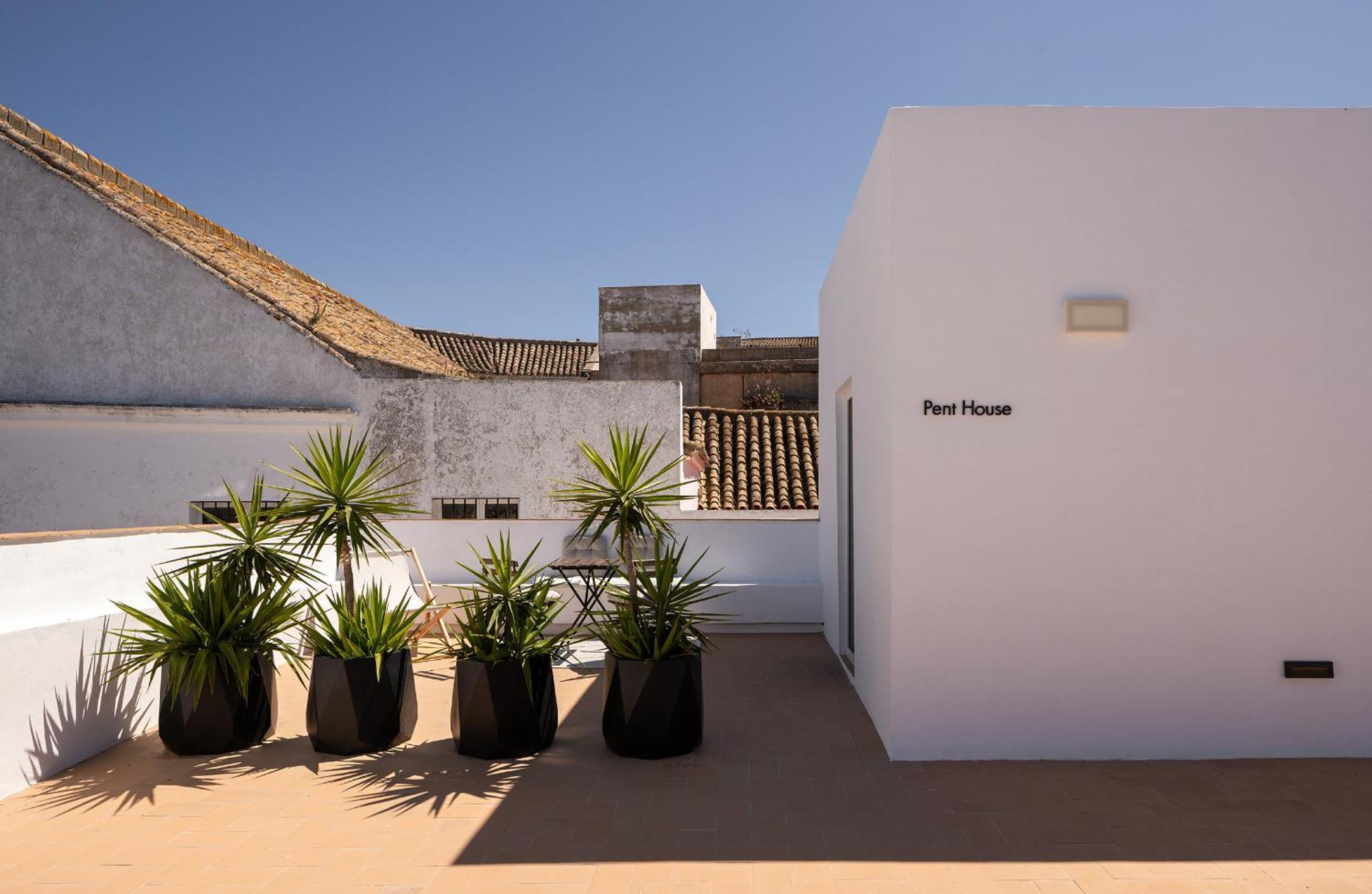 Victoria - By Atico73 (Adults Only) Hotel Medina-Sidonia Bagian luar foto